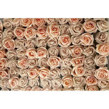 Photography Background beautiful rose flowers newborn children Birthday wedding party Backdrops for Photo Booth Studio
Photography Background beautiful rose flowers newborn children Birthday wedding party Backdrops for Photo Booth Studio