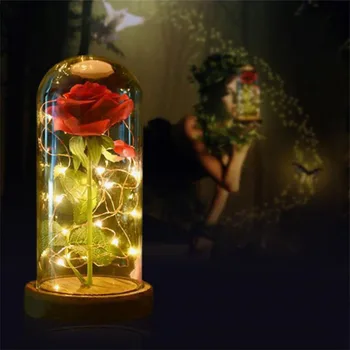Glass Cover Rose Flower Modeling Roses Lamp Gift Box Fairy String Light Chrismas Valentine's Day Girls Gifts Wedding Decor
Glass Cover Rose Flower Modeling Roses Lamp Gift Box Fairy String Light Chrismas Valentine's Day Girls Gifts Wedding Decor