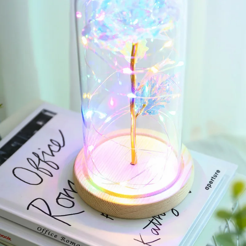 Undefined Romantic Eternal Artificial Flowers With LED Light String Glass Cover Home Decor For Wedding Valentine's Day
Undefined Romantic Eternal Artificial Flowers With LED Light String Glass Cover Home Decor For Wedding Valentine's Day