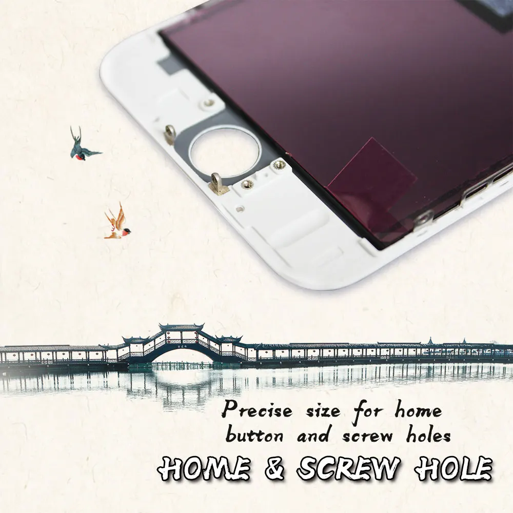 6HOME-&-SCREW-HOLE