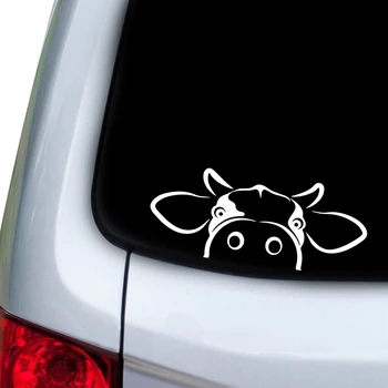 Car Accessories Bull Head Vinyl Sticker Car Window Decor , Farm Sign Laptop Decal for Apple MacBook Pro / Air Decoration 
Car Accessories Bull Head Vinyl Sticker Car Window Decor , Farm Sign Laptop Decal for Apple MacBook Pro / Air Decoration