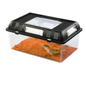 Mail Reptilian Raising Box Spider Raising Box Tortoise Tank Horn Frog Scorpion Keeping Palace Acrylic Box
Mail Reptilian Raising Box Spider Raising Box Tortoise Tank Horn Frog Scorpion Keeping Palace Acrylic Box
