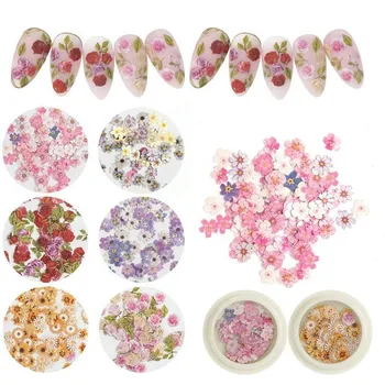 2020 new 3D Charming Rose Daisy Flower Leaf Colorful Nail Art Decoration
2020 new 3D Charming Rose Daisy Flower Leaf Colorful Nail Art Decoration