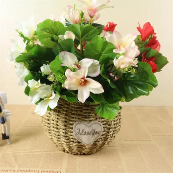 7Pcs Fake Begonia Flowers (5 stems/bunch) 11" Length Simulation Malus Spectabilis for Wedding Home Decorative Artificial Flowers
7Pcs Fake Begonia Flowers (5 stems/bunch) 11" Length Simulation Malus Spectabilis for Wedding Home Decorative Artificial Flowers
