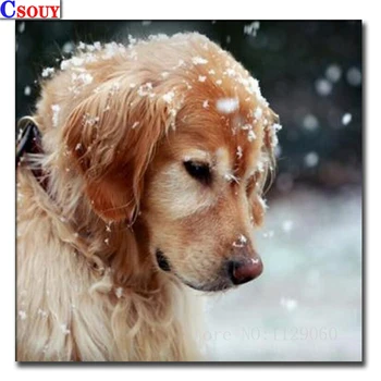 New 5D DIY Diamond Mosaic Dog Diamond Painting Drawing Full Square Round Drill Diamond Embroidery Cross Stitch Home Decor Animal 
New 5D DIY Diamond Mosaic Dog Diamond Painting Drawing Full Square Round Drill Diamond Embroidery Cross Stitch Home Decor Animal