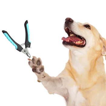 Pet Toe Care Stainless Steel Dogs Cats Claw Nail Clippers Cutter Portable Scissors Trim Nails Pet Products New
Pet Toe Care Stainless Steel Dogs Cats Claw Nail Clippers Cutter Portable Scissors Trim Nails Pet Products New