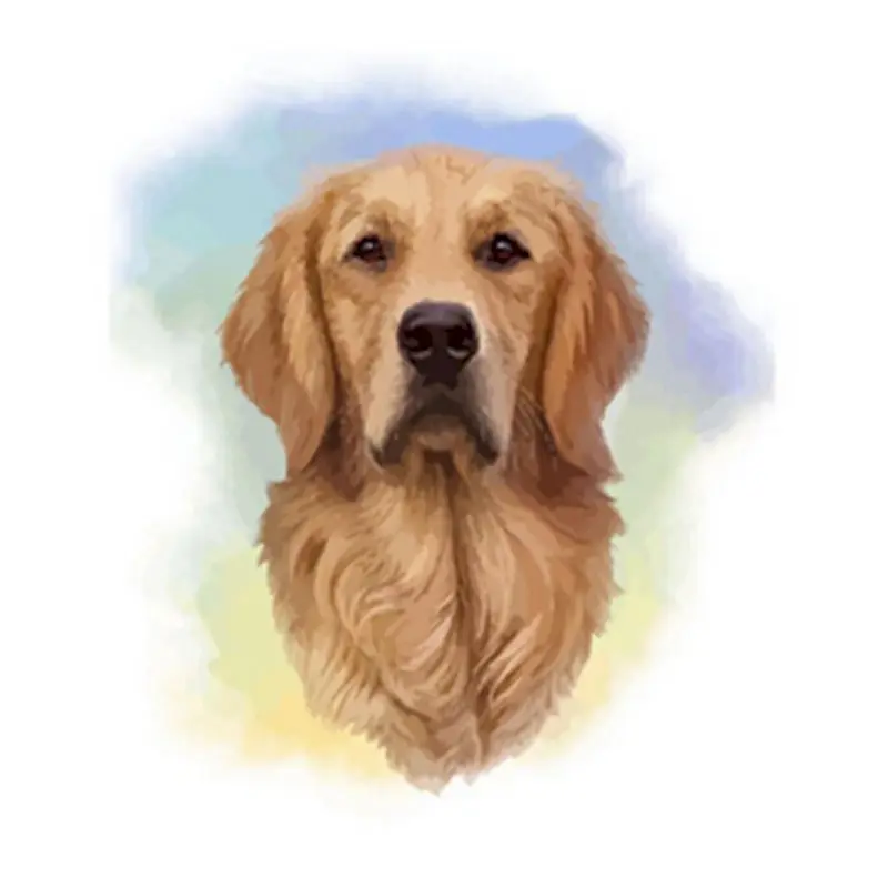 Paints By Numbers Animals 50x65cm Pictures Oil Painting By Numbers Gift Acrylic Coloring By Number Canvas Wall Brown Fog For Art
Paints By Numbers Animals 50x65cm Pictures Oil Painting By Numbers Gift Acrylic Coloring By Number Canvas Wall Brown Fog For Art