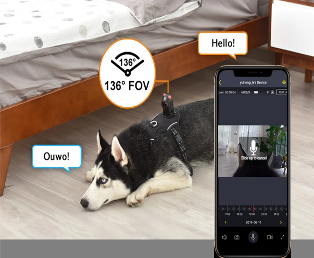 Smart Pets Real Time Tracker 1080P IP Camera Night Vision Video Cam Tracking Viewing Locator USB Charge Tracking Devices for Pet
Smart Pets Real Time Tracker 1080P IP Camera Night Vision Video Cam Tracking Viewing Locator USB Charge Tracking Devices for Pet