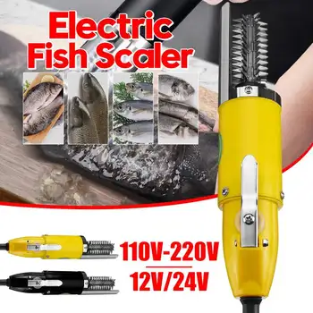 12V/24V 110V/220V Electric Fish Scaler Waterproof Fishing Scalers Easy Clean Fish Stripper Remover Cleaner Scraper Seafood Tools
12V/24V 110V/220V Electric Fish Scaler Waterproof Fishing Scalers Easy Clean Fish Stripper Remover Cleaner Scraper Seafood Tools