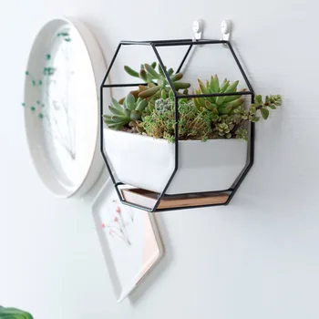 1Pcs Geometric Metal Octagonal Poratble Creactive Geometric Planter Pot Storage Rack for Home Restaurant Hotel Decoration
1Pcs Geometric Metal Octagonal Poratble Creactive Geometric Planter Pot Storage Rack for Home Restaurant Hotel Decoration