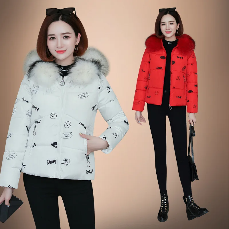 China Gedi Love Cotton Coat Women's Short Winter 2019 New Style Korean-style Printed Slimming Cotton-padded Clothes Women's Loos
China Gedi Love Cotton Coat Women's Short Winter 2019 New Style Korean-style Printed Slimming Cotton-padded Clothes Women's Loos