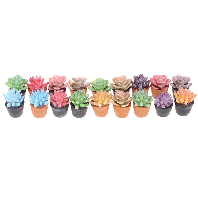 5pcs 1:12 Dollhouse Miniature Mini Pot Plante grasse modèle HL 