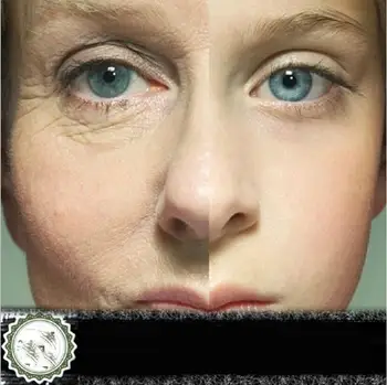 Liquid Six Peptides Serum For Striae Anti-Wrinkle Cream Anti Aging Collagen Rejuvenating Face Lift Skin Care Moisturizing Beauty
Liquid Six Peptides Serum For Striae Anti-Wrinkle Cream Anti Aging Collagen Rejuvenating Face Lift Skin Care Moisturizing Beauty