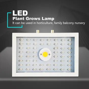 Plants LED Grow Light Full Spectrum 1000W Double Chip Red/Blue/UV/IR Rectangle Light For Indoor Plants VEG BLOOM
Plants LED Grow Light Full Spectrum 1000W Double Chip Red/Blue/UV/IR Rectangle Light For Indoor Plants VEG BLOOM