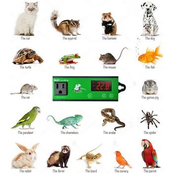 Digital Reptile Thermostat with Timer Day/Night ON/OFF Regulator Animal Amphibian Temperature Controller fish tools 
Digital Reptile Thermostat with Timer Day/Night ON/OFF Regulator Animal Amphibian Temperature Controller fish tools