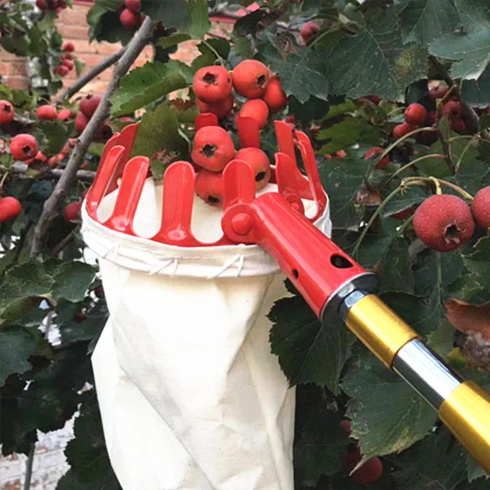 Creative Fruit Picker Hand Tool Device Yard Red Metal Outside Farm Gardening Fruit Catcher Collector
Creative Fruit Picker Hand Tool Device Yard Red Metal Outside Farm Gardening Fruit Catcher Collector