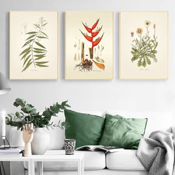 Minimalist Paintings Herbaceous Plant Flowers Wall Art Posters Modern Home Living Room Decor Kraft paper
Minimalist Paintings Herbaceous Plant Flowers Wall Art Posters Modern Home Living Room Decor Kraft paper