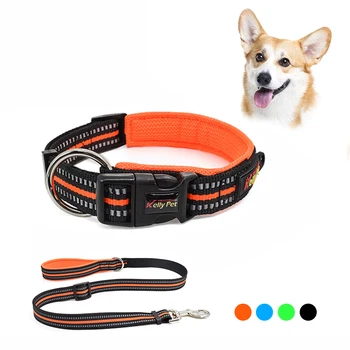 Pet Dog Collar Leash Set For Dogs Adjustable Reflective Safety Nylon Collar Leashes For Small Medium Large Dogs Walk Set
Pet Dog Collar Leash Set For Dogs Adjustable Reflective Safety Nylon Collar Leashes For Small Medium Large Dogs Walk Set