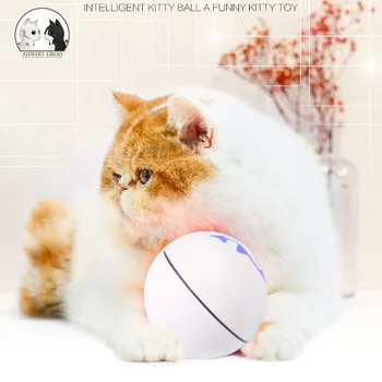 Cat Electric Ball Toy Pet Automatic Rotating Chasing Ball Toy USB Charge Cat Dog Magic Roller Motion Ball Pet Interactive Ball 
Cat Electric Ball Toy Pet Automatic Rotating Chasing Ball Toy USB Charge Cat Dog Magic Roller Motion Ball Pet Interactive Ball