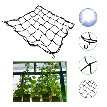 Plant Trellis Netting Flexible Grow Tent Net Freely Adjustable Firm And Durable Easy To Install Planting Cabinets Planting Boxes
Plant Trellis Netting Flexible Grow Tent Net Freely Adjustable Firm And Durable Easy To Install Planting Cabinets Planting Boxes
