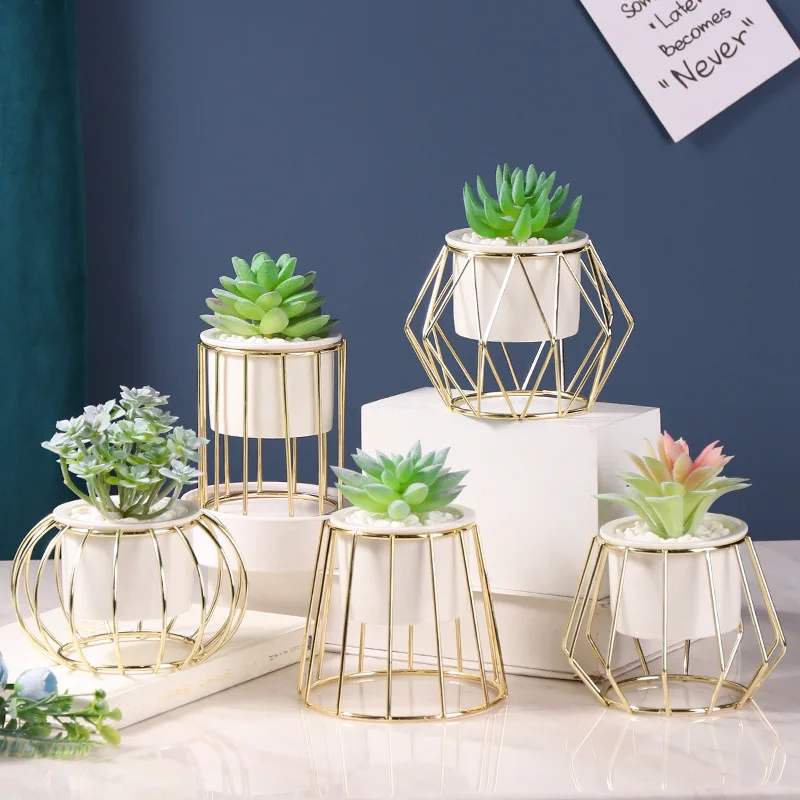 Nordic INS Simulation Succulent Small Potted Home Office Desktop Decoration Simulation Plant Artificial Flower Home Decorations
Nordic INS Simulation Succulent Small Potted Home Office Desktop Decoration Simulation Plant Artificial Flower Home Decorations