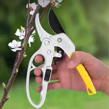 1pc Labor-saving Fruit Tree Pruning Scissors Segmented Branches Shears Professional Pruning Garden Tool Gardening Pruning M2N6
1pc Labor-saving Fruit Tree Pruning Scissors Segmented Branches Shears Professional Pruning Garden Tool Gardening Pruning M2N6