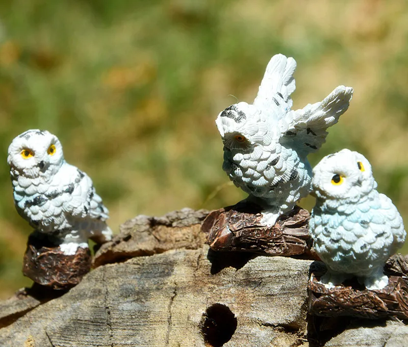 3pc猫头鹰 (4)