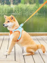 Puppy Vest Harness Hand Leash Cat Breathable Chest Strap Pet Leash Suitable For Small And Medium-sized Dogs to Walk the Dog
Puppy Vest Harness Hand Leash Cat Breathable Chest Strap Pet Leash Suitable For Small And Medium-sized Dogs to Walk the Dog