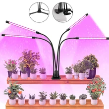 4 Heads Plant Grow Light Clip With Adjustable Lightness And Timing Function For Plants Seedlings Flower Indoor Vegetables Grow
4 Heads Plant Grow Light Clip With Adjustable Lightness And Timing Function For Plants Seedlings Flower Indoor Vegetables Grow