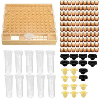 Practical Queen Rearing System Apiculture Helper Cupkit Yellow Durable Tools Beekeeping Tool Kit Catcher Cage 100 Cell Cups
Practical Queen Rearing System Apiculture Helper Cupkit Yellow Durable Tools Beekeeping Tool Kit Catcher Cage 100 Cell Cups