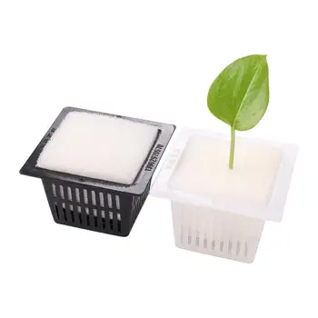 Square Planting Basket Hydroponic Soilless Root Fixing Cultivation Cups Plant Vegetable Planting Colonization Mesh Growing Pots
Square Planting Basket Hydroponic Soilless Root Fixing Cultivation Cups Plant Vegetable Planting Colonization Mesh Growing Pots