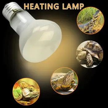 Reptile Heating UVA Lamp Amphibians Tortoise Lizard Terrarium Temperature Controller 25/50/70w Uv Daylight Light Bulb Heater Hot
Reptile Heating UVA Lamp Amphibians Tortoise Lizard Terrarium Temperature Controller 25/50/70w Uv Daylight Light Bulb Heater Hot