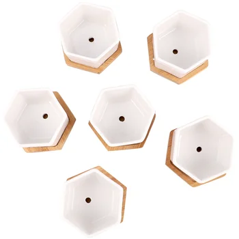 12 Pcs in 1 Set Succulent Plant Pots Mini Succulent Planter Ceramic Flower Planter Pot with Bamboo Trays (6 Pots and 6 Trays, Wh
12 Pcs in 1 Set Succulent Plant Pots Mini Succulent Planter Ceramic Flower Planter Pot with Bamboo Trays (6 Pots and 6 Trays, Wh
