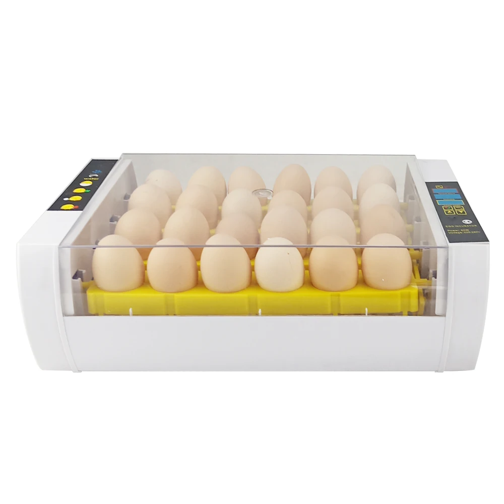 Newest Egg Hatchers Hatchery Machine 24 Egg Incubator Cheap Price Chicken Automatic Quail Brooder Egg Incubator Quail Brooder
Newest Egg Hatchers Hatchery Machine 24 Egg Incubator Cheap Price Chicken Automatic Quail Brooder Egg Incubator Quail Brooder
