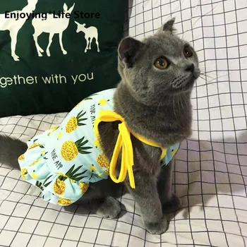 Cute Cat Vest Skirt Summer Pet Clothes for Cats Banana Pineapple Cat Dress Dog Couples Stephen Mascotas Costume
Cute Cat Vest Skirt Summer Pet Clothes for Cats Banana Pineapple Cat Dress Dog Couples Stephen Mascotas Costume