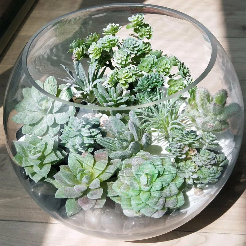 Plastic Succulent Flowers Artificial Cactus Not Included Pots For Living Room Home Garden Decorations 11Pcs Set
Plastic Succulent Flowers Artificial Cactus Not Included Pots For Living Room Home Garden Decorations 11Pcs Set