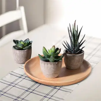 OUNONA 3pcs Artificial Plant Vintage Plastic Potted Home Decorative Faux Succulent Artificial Planters Succulent Plants Pots A2
OUNONA 3pcs Artificial Plant Vintage Plastic Potted Home Decorative Faux Succulent Artificial Planters Succulent Plants Pots A2