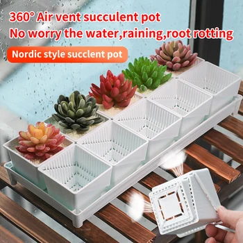 Meshpot Baimu Succulents Pot Plastic Flower Pot Planter Container Garden Pot,Root Controlling Patent Technology Inner Dia. 7cm
Meshpot Baimu Succulents Pot Plastic Flower Pot Planter Container Garden Pot,Root Controlling Patent Technology Inner Dia. 7cm