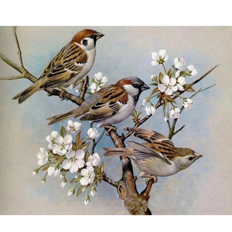 Diamond Embroidery Full Square Drill 5D DIY Diamond Painting Animal Bird Embroidery Cross Stitch Handwork Rhinestone Home Art
Diamond Embroidery Full Square Drill 5D DIY Diamond Painting Animal Bird Embroidery Cross Stitch Handwork Rhinestone Home Art