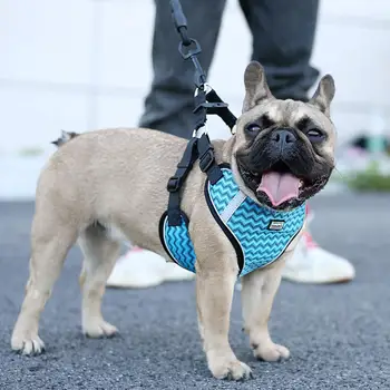 Surepet Dog Harnesses with Leash for Small Medium Dogs No Pull Adjustable,Reflective
Surepet Dog Harnesses with Leash for Small Medium Dogs No Pull Adjustable,Reflective
