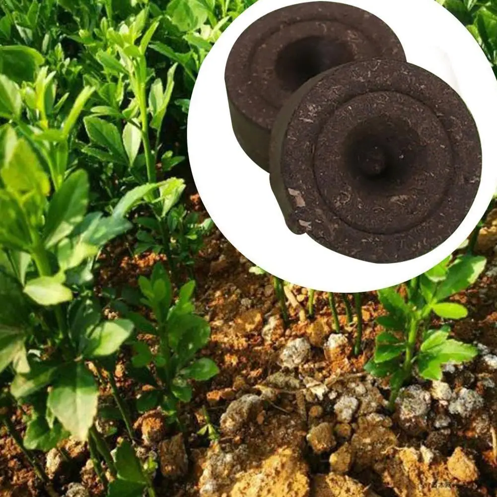 Domestic seedling block compressed peat block mud nutrient sowing charcoal substrate substrate block block cultivation C8V3
Domestic seedling block compressed peat block mud nutrient sowing charcoal substrate substrate block block cultivation C8V3