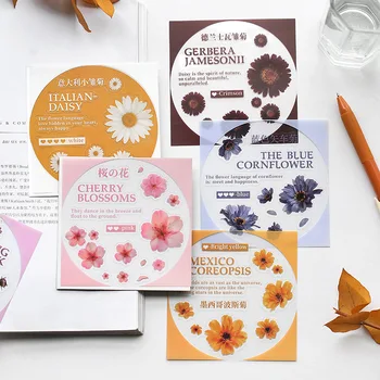 Paper Mister PVC Sticker Flowers Art Series Creative PDA Diary DIY Decorative Stickers 3 Sheets into 6-Selected
Paper Mister PVC Sticker Flowers Art Series Creative PDA Diary DIY Decorative Stickers 3 Sheets into 6-Selected