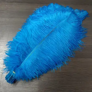 Wholesale 10pcs Beautiful Natural Ostrich Feathers Sky Blue 22-24 inch/55-60 cm For DIY Jewelry Craft Making Decoration
Wholesale 10pcs Beautiful Natural Ostrich Feathers Sky Blue 22-24 inch/55-60 cm For DIY Jewelry Craft Making Decoration