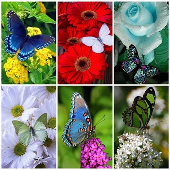 AZQSD DIY Painting By Numbers On Canvas Flowers Unframe Handmade Gift Acrylic Paint Coloring By Numbers Butterfly Wall Art
AZQSD DIY Painting By Numbers On Canvas Flowers Unframe Handmade Gift Acrylic Paint Coloring By Numbers Butterfly Wall Art