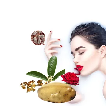 Refreshing cleaning facice soap to prevent dust mites and acne clean soap.Fresh petals essence oil active crystal exquisite skin 
Refreshing cleaning facice soap to prevent dust mites and acne clean soap.Fresh petals essence oil active crystal exquisite skin