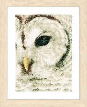 Cross Stitch Set Chinese Cross-stitch Kit Embroidery Needlework Craft Packages Cotton Fabric Floss New Designs Embroidery ZZ686
Cross Stitch Set Chinese Cross-stitch Kit Embroidery Needlework Craft Packages Cotton Fabric Floss New Designs Embroidery ZZ686