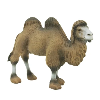TLAND Simulation Wild Big Camel Toy Model Forest Wild Animal Decoration Children Educational Toy Gift
TLAND Simulation Wild Big Camel Toy Model Forest Wild Animal Decoration Children Educational Toy Gift