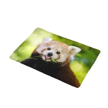 Cute Raccoon Rug Bedroom Rugs Living Dinning Kitchen Area Rug Area Rugs for Bedroom Kids Sofa Bed Decor Drop Shipping 
Cute Raccoon Rug Bedroom Rugs Living Dinning Kitchen Area Rug Area Rugs for Bedroom Kids Sofa Bed Decor Drop Shipping