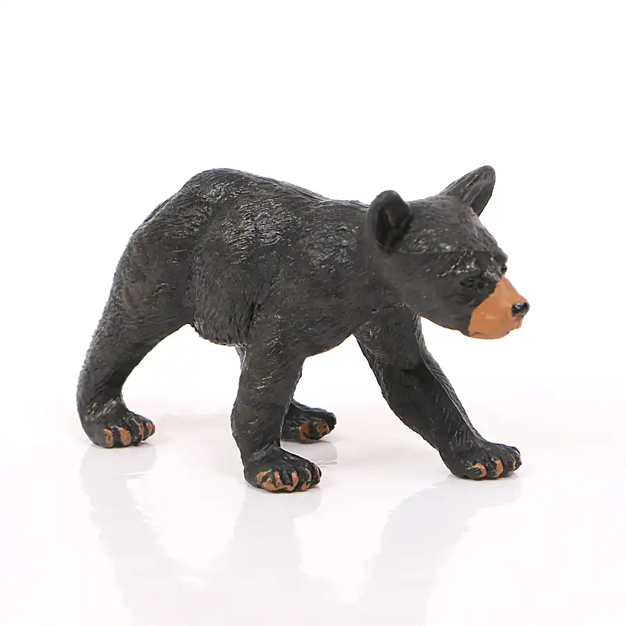 wild zoo forest animal model american black bear