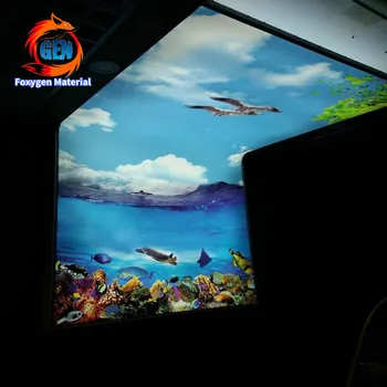 decorative mobile home pvc stretch ceiling panel design
decorative mobile home pvc stretch ceiling panel design